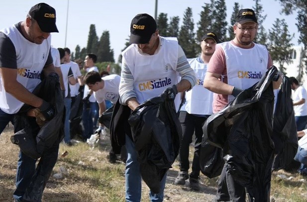 CMS Ormanı
